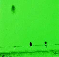 TLC of F-HBC after initial purification