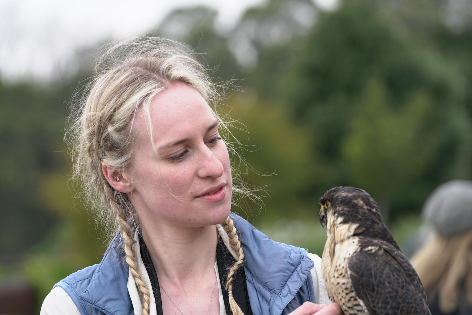 Sabrina with a disabled peregrine falcon.